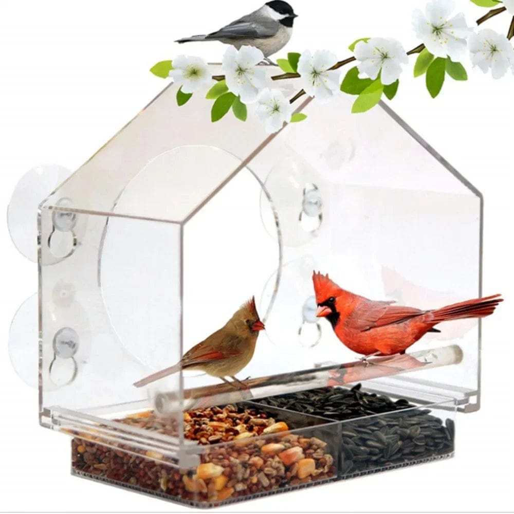 Acrylic Window Bird Feeder - Clear Glass Hanging Birdhouse with Suction Cup - Homebound Essentials