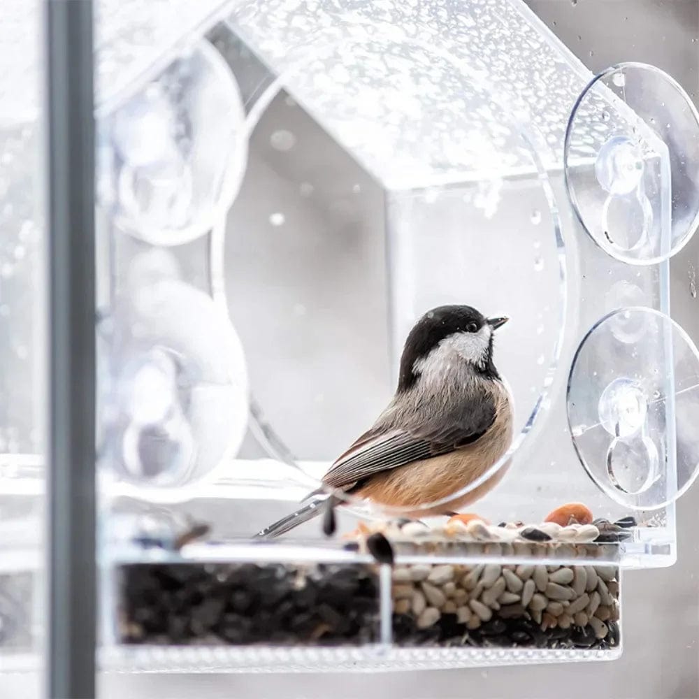 Acrylic Window Bird Feeder - Clear Glass Hanging Birdhouse with Suction Cup - Homebound Essentials