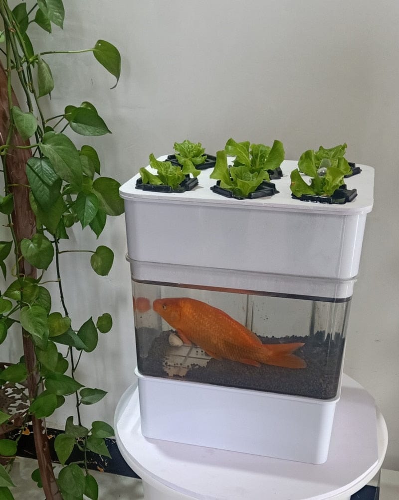 AquaGrow Mini: Hydroponic & Aquaponic Plant Growing System - Homebound Essentials