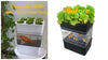 AquaGrow Mini: Hydroponic & Aquaponic Plant Growing System - Homebound Essentials