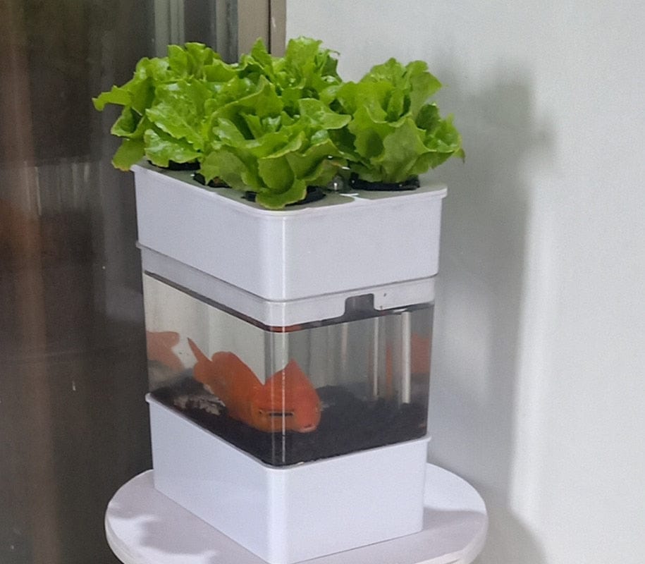 AquaGrow Mini: Hydroponic & Aquaponic Plant Growing System - Homebound Essentials