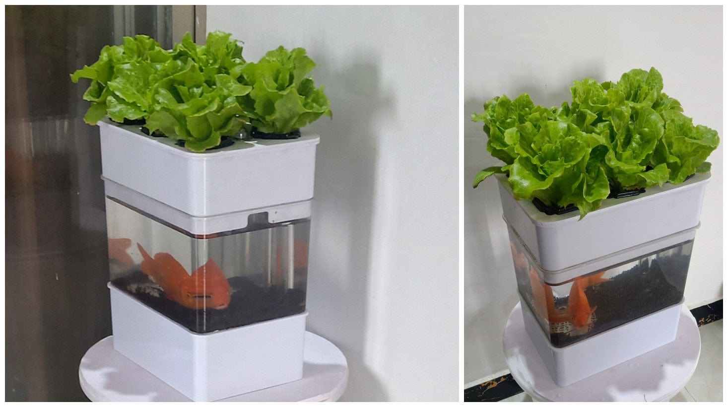 AquaGrow Mini: Hydroponic & Aquaponic Plant Growing System - Homebound Essentials