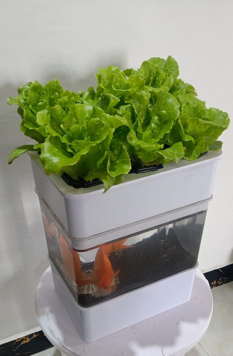 AquaGrow Mini: Hydroponic & Aquaponic Plant Growing System - Homebound Essentials