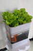 AquaGrow Mini: Hydroponic & Aquaponic Plant Growing System - Homebound Essentials