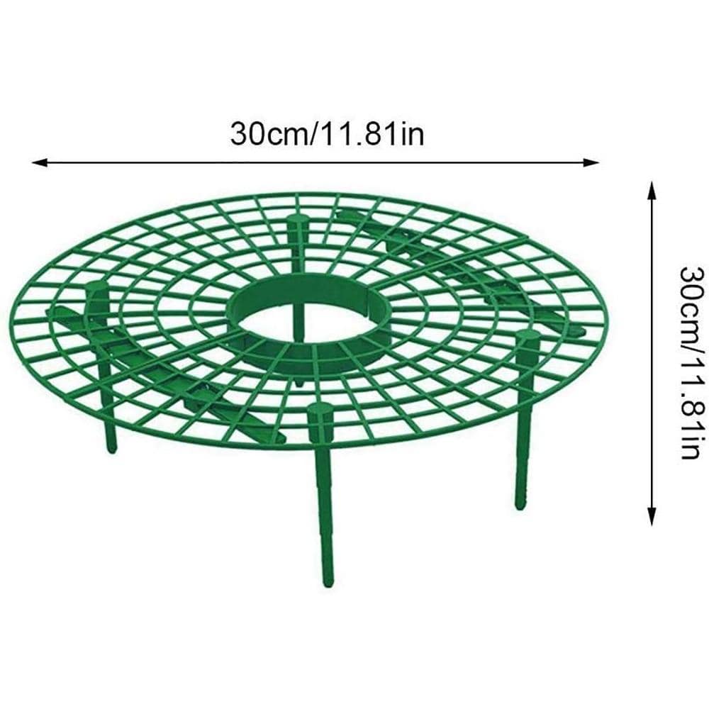 Berrylife - Strawberry Planting Frame - Homebound Essentials