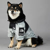 Dog Windbreaker Raincoat with Hoodie - Homebound Essentials