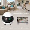 Enabot Home Security Camera Pet Robot with Night Vision - Homebound Essentials