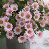 Home and Garden Artificial Flowers - Homebound Essentials