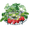 HomeBound Essentials Berrylife - Strawberry Planting Frame