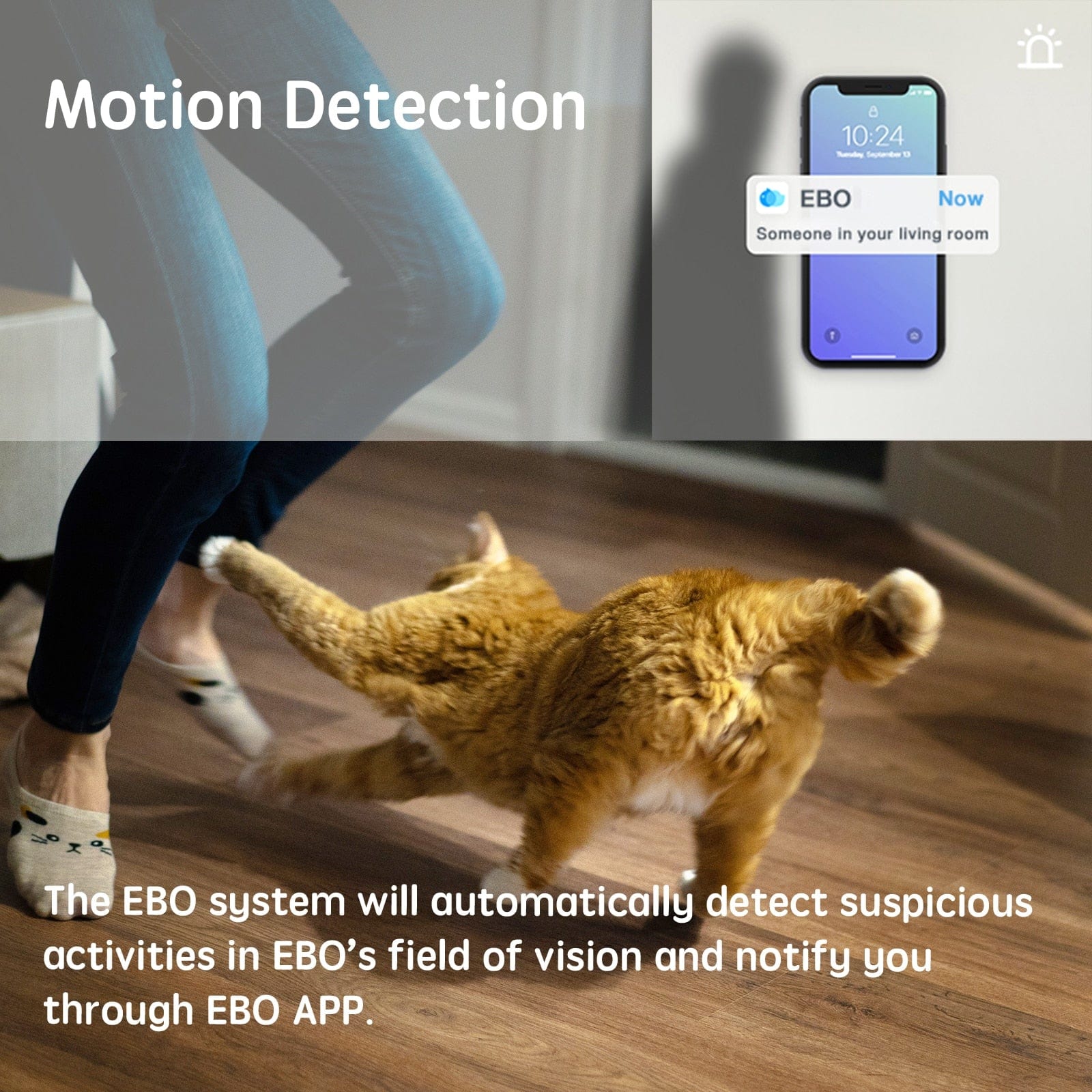 HomeBound Essentials Enabot Home Security Camera Pet Robot with Night Vision
