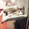 HomeBound Essentials HangBed - Instant Cat Hanging Bed Hammock