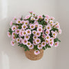 HomeBound Essentials Home and Garden Artificial Flowers