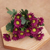 HomeBound Essentials Purple Red Home and Garden Artificial Flowers