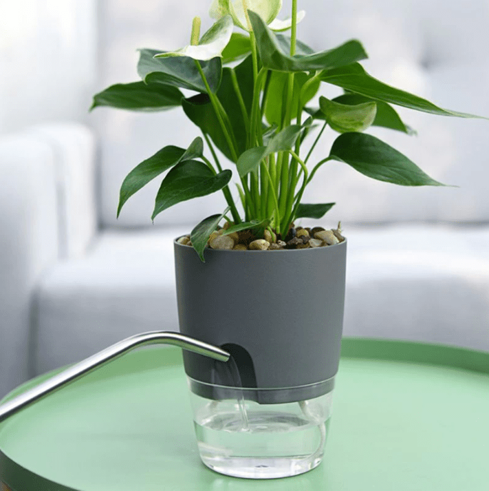 HomeBound Essentials HydroBloom - Hydroponic Self Watering Flowerpot (3 Pots Set)