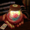 HomeBound Essentials Smart Lovers Novel Glow- In -The-Dark Rose Light