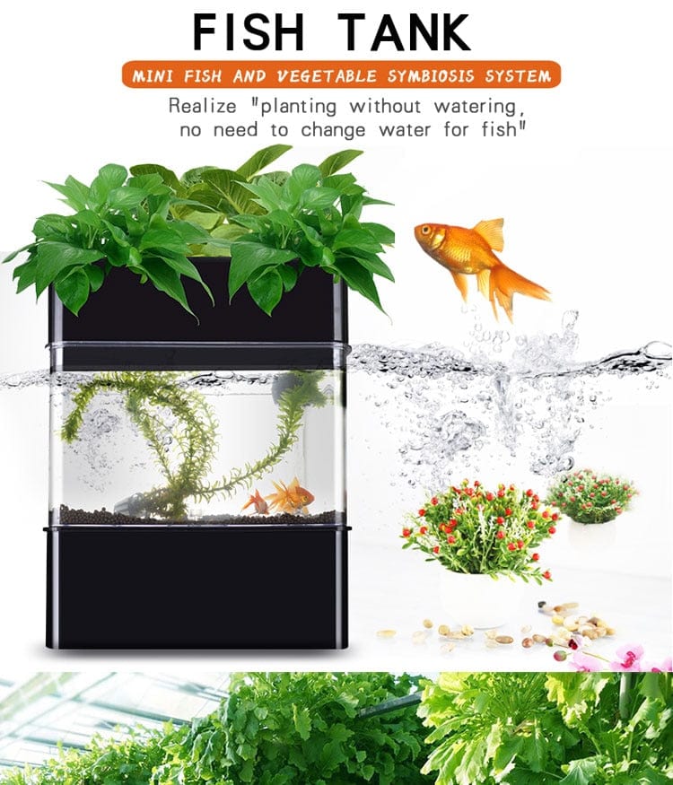 HomeBound Essentials Mini Hydroponics Aquaponics Plant Growing System with Fish Tank