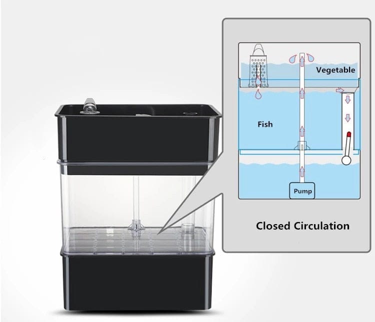 HomeBound Essentials Mini Hydroponics Aquaponics Plant Growing System with Fish Tank