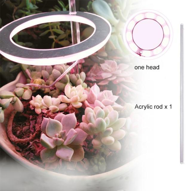 HomeBound Essentials 1 Head - Pink Light PlantHalo - Indoor Plant Grow Light