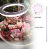 HomeBound Essentials 1 Head - Pink Light PlantHalo - Indoor Plant Grow Light