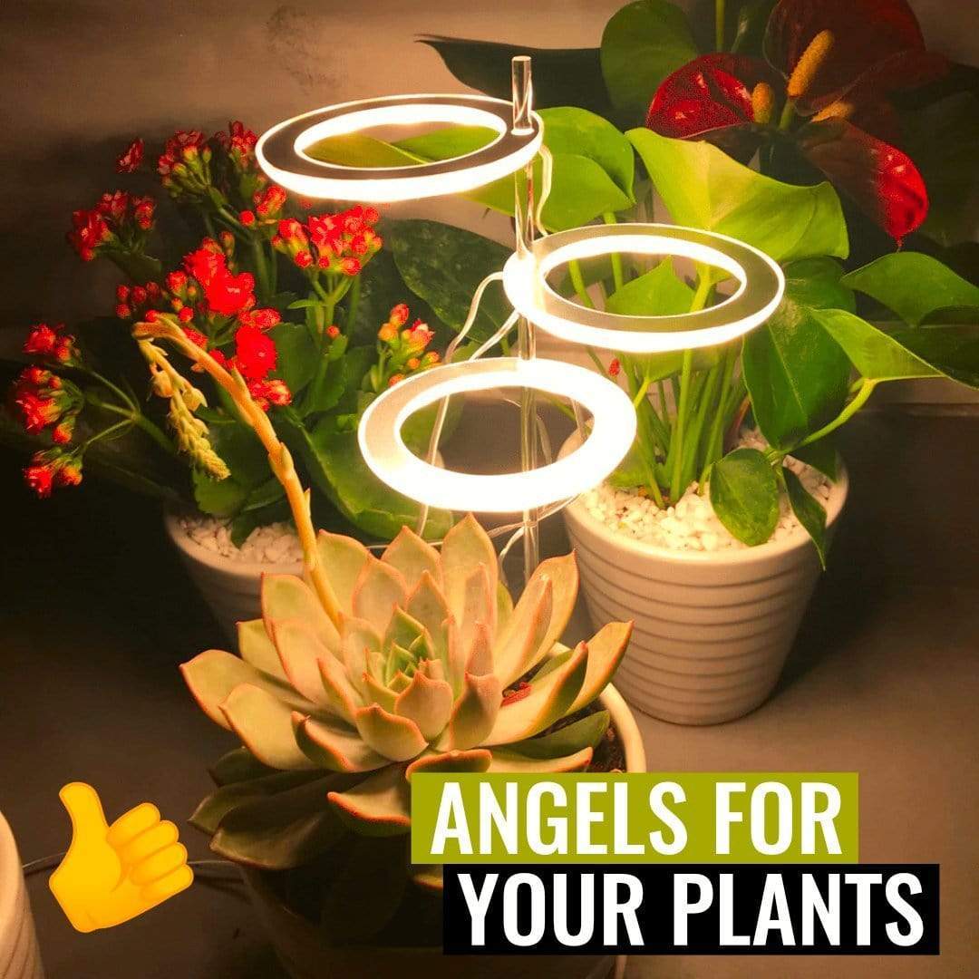 HomeBound Essentials PlantHalo - Indoor Plant Grow Light