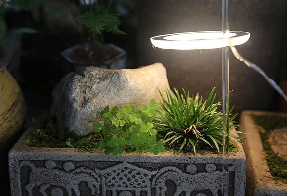 HomeBound Essentials PlantHalo - Indoor Plant Grow Light
