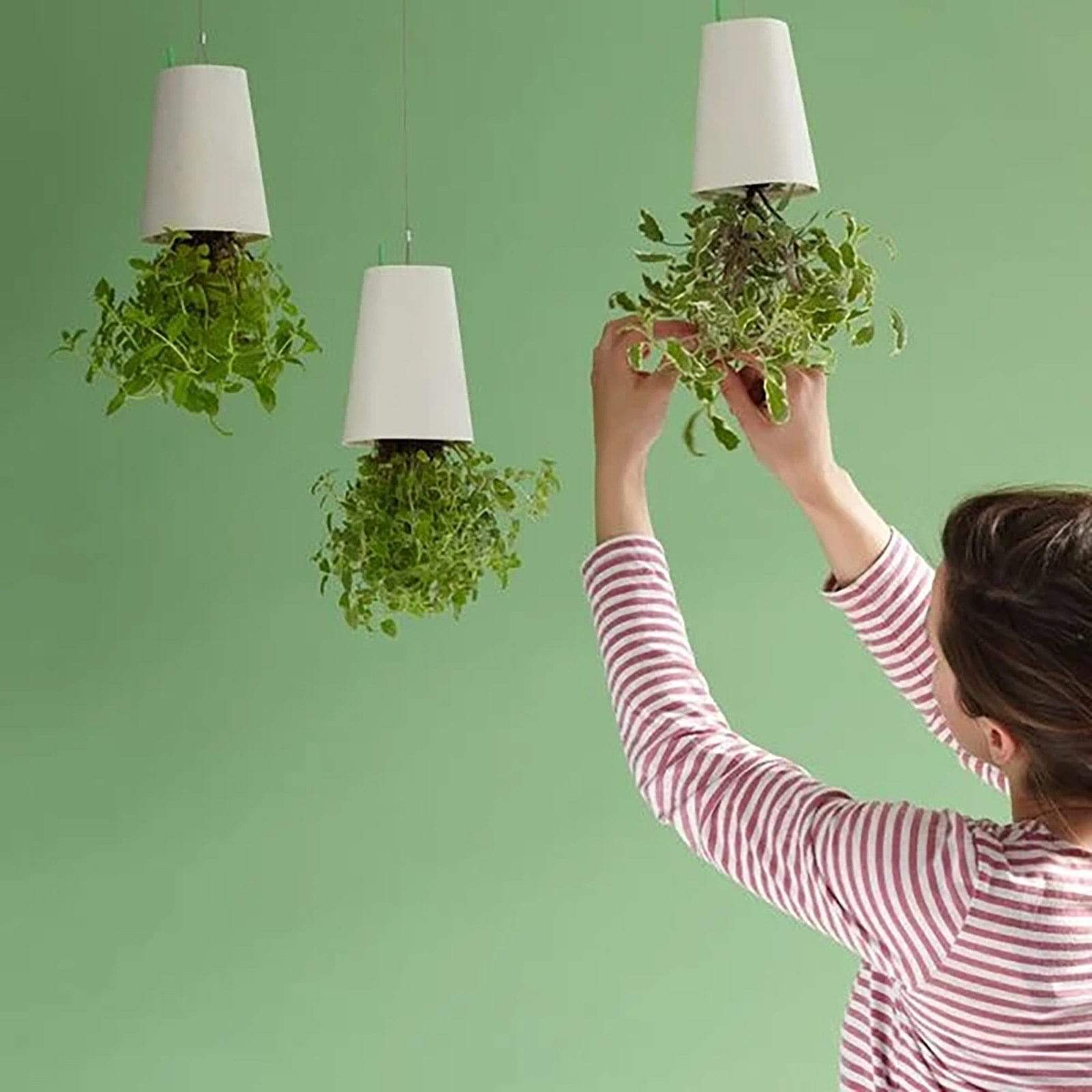 HomeBound Essentials Sky Garden - Upside-Down Plant Flower Pot Hanging Planter