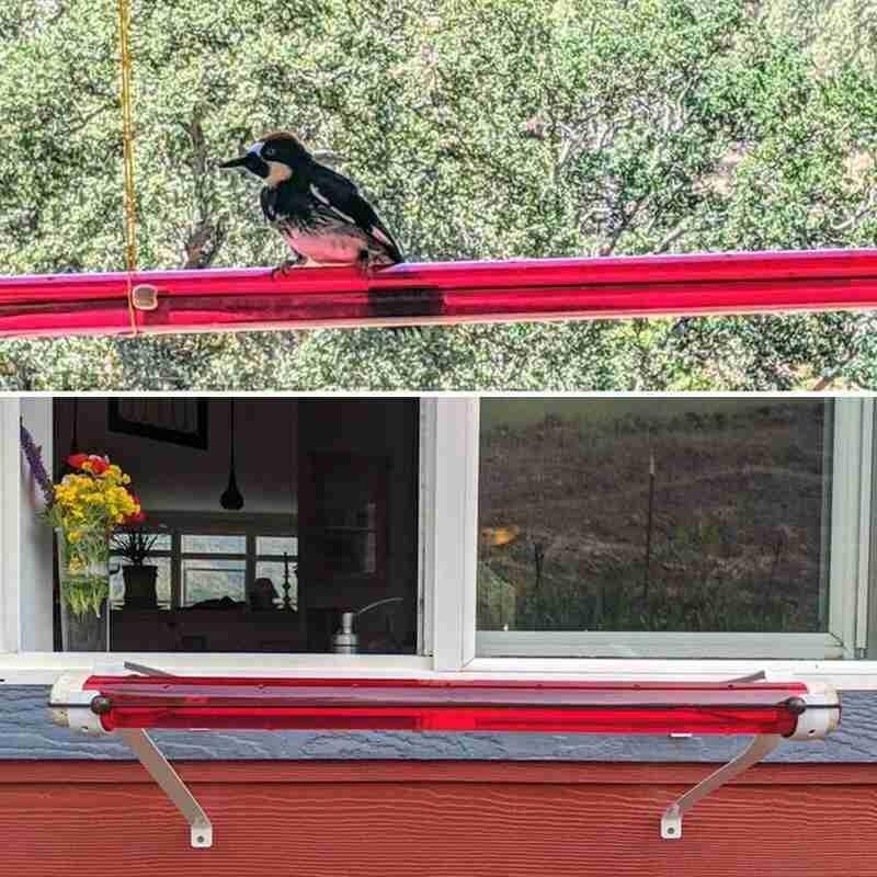 HomeBound Essentials Smart Hummingbird Feeder For Outdoors