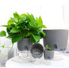 HydroBloom - Hydroponic Self Watering Flowerpot (3 Pots Set) - Homebound Essentials