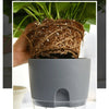 HydroBloom - Hydroponic Self Watering Flowerpot (3 Pots Set) - Homebound Essentials