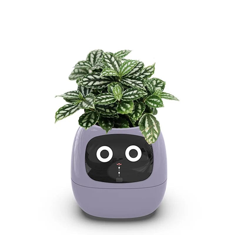 IvyBot: Smart Planter with AI, Over 49 Expressions, 7 Sensors for Effortless and Fun Plant Care - Homebound Essentials