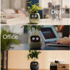 IvyBot: Smart Planter with AI, Over 49 Expressions, 7 Sensors for Effortless and Fun Plant Care - Homebound Essentials