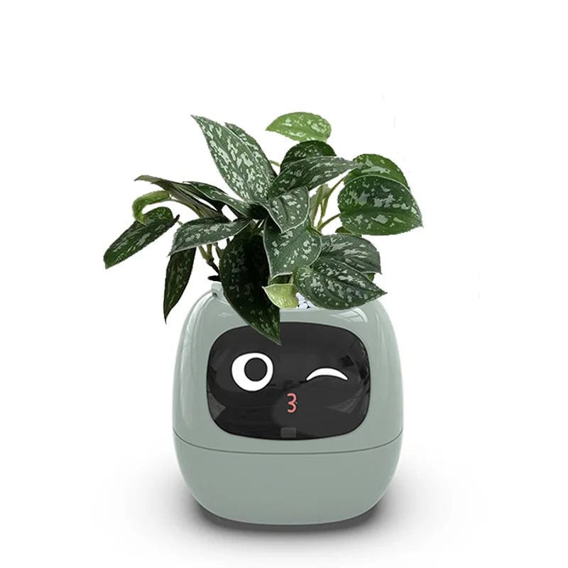 IvyBot: Smart Planter with AI, Over 49 Expressions, 7 Sensors for Effortless and Fun Plant Care - Homebound Essentials