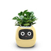 IvyBot: Smart Planter with AI, Over 49 Expressions, 7 Sensors for Effortless and Fun Plant Care - Homebound Essentials