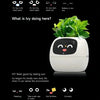 IvyBot: Smart Planter with AI, Over 49 Expressions, 7 Sensors for Effortless and Fun Plant Care - Homebound Essentials