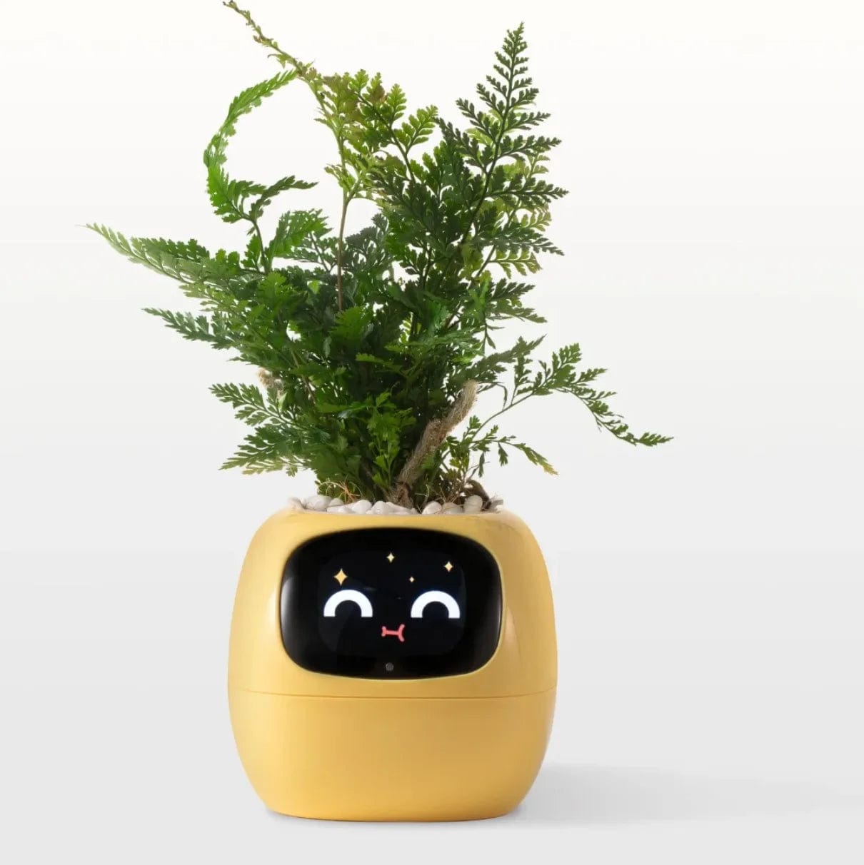 IvyBot: Smart Planter with AI, Over 49 Expressions, 7 Sensors for Effortless and Fun Plant Care - Homebound Essentials