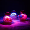 Lovers Novel Glow - In - The - Dark Rose Light - Homebound Essentials