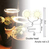 PlantHalo - Indoor Plant Grow Light - Homebound Essentials