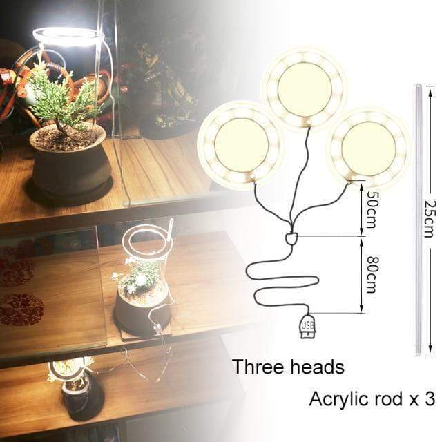 PlantHalo - Indoor Plant Grow Light - Homebound Essentials