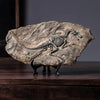 Resin Dinosaur Skeleton Model - Tyrannosaurus Rex Fossil Decoration for Display - Homebound Essentials