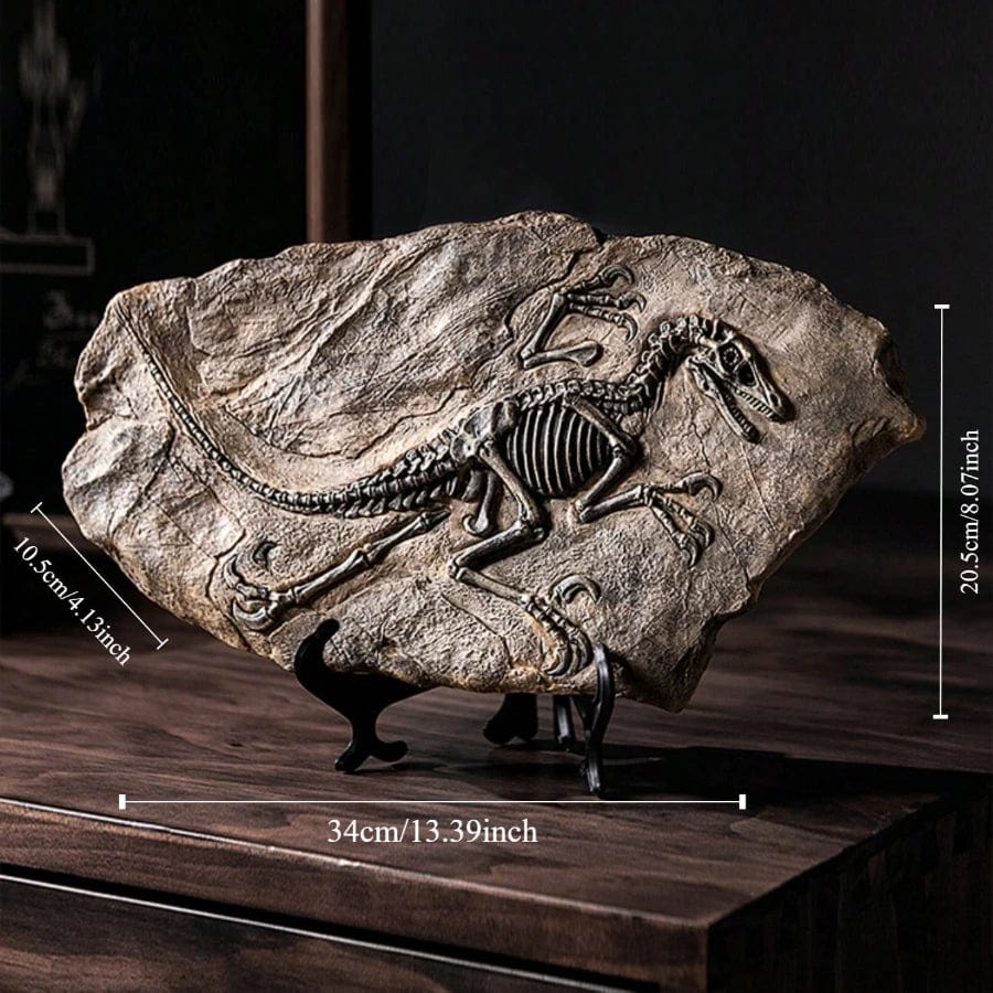 Resin Dinosaur Skeleton Model - Tyrannosaurus Rex Fossil Decoration for Display - Homebound Essentials