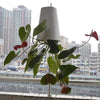 Sky Garden - Upside - Down Plant Flower Pot Hanging Planter - Homebound Essentials