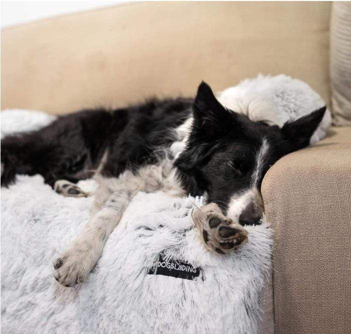 Sofurbed - Comfy Pet Sofa Calming Bed - Homebound Essentials